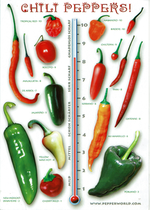 Hot! Hot! – Chili-Thermometer