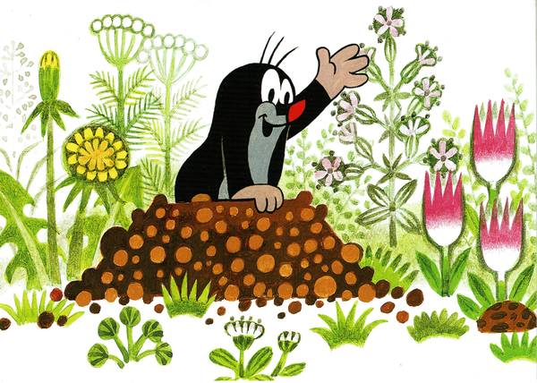 Der kleine Maulwurf Krteček schaut aus einem kleinen Maulwurfshügel und winkt aus der Karte. Um ihn herum sieht man Blumen, die an Gabeln erinnern und einige andere idealisierte Pflanzen. Sehr knuffig.