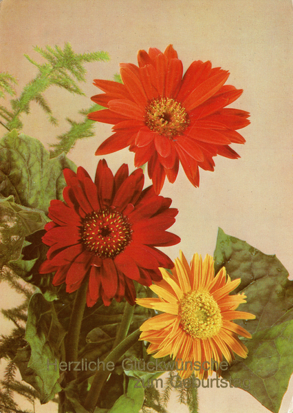 Eine Geburtstagskarte mit einem Blumenstrauß: Je eine Blüte in Orange, Rot und in Gelb. Darunter steht in goldener Schrift "Herzliche Glückwünsche zum Geburtstag"